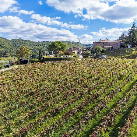 Petralina By Interhome Lucolena in Chianti